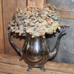 LRG Shabby VTG French Country Farmhouse Silver FB Rogers Coffee Pot w/Eucalyptus